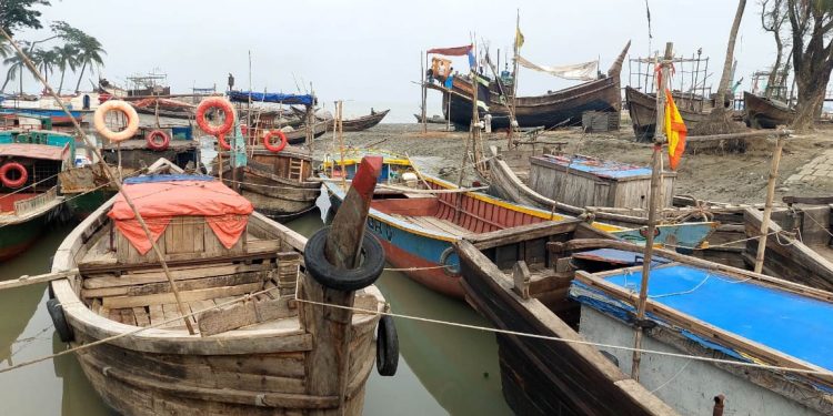 পহেলা মে থেকে মেঘনায় মাছ ধরবে তজুমদ্দিনের ২০ হাজার জেলে