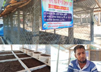 শার্শায় বাণিজ্যিক ভাবে উৎপাদন হচ্ছে ভার্মি কম্পোস্ট সার 