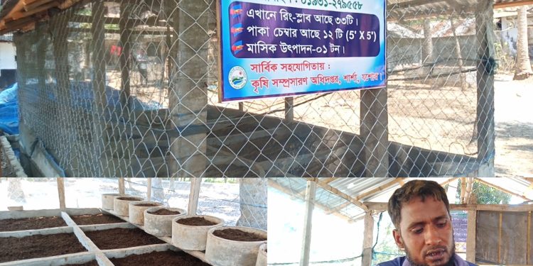 শার্শায় বাণিজ্যিক ভাবে উৎপাদন হচ্ছে ভার্মি কম্পোস্ট সার 