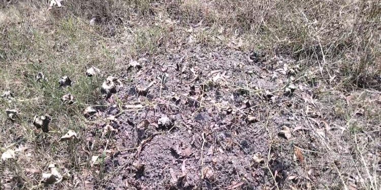 ভাঙ্গায় ফায়ার সার্ভিস কর্মকর্তার কান্ড