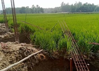 বাঁশখালীতে ধান কেটে ঘর নির্মাণে অভিযোগ উঠেছে