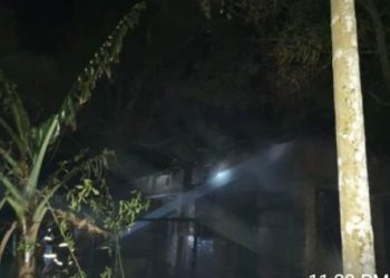 বাঘায় আগুনে পুড়ল বাড়ী