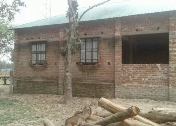 রংপুরে প্রতিষ্ঠা ও কল্যাণ সমিতির বিরুদ্ধে জমি দখল করে দোকানপাট নির্মাণে অভিযোগ উঠেছে