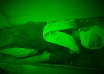 নেত্রকোণায়  বখাটের অস্ত্রের কোপে স্কুল ছাত্রীর মৃত্যু