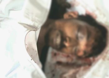 কুষ্টিয়ায় ভাইয়ের হাতে ভাই নিহত