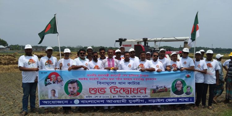 নড়াইলে অসহায় দরিদ্র কৃষকের ধান কেটে দিল যুবলীগ