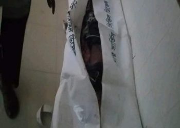 কুষ্টিয়ায় ট্রাক চাপায় মোটরসাইকেল আরোহী নিহত