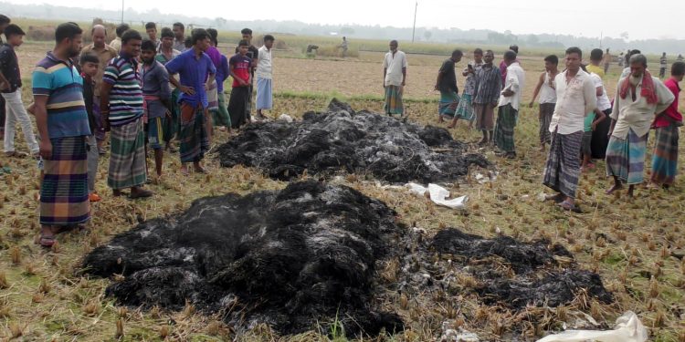 নড়াইলে দুষ্কৃতকারীদের আগুনে কৃষকের পাকা ধান পুড়ে ছাই