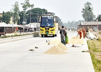 রংপুর – ঢাকা মহাসড়ক যেনো বাড়ির উঠান চলছে ধান-খড় শুকানোর কাজ