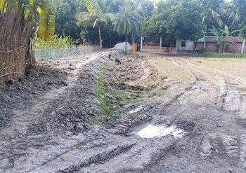 হরিণাকুণ্ডুতে কাবিখা প্রকল্পে নয় ছয়: শ্রমিকের পরিবর্তে ভেকু মেশিন ব্যবহার ও মাটি বিক্রির অভিযোগ 