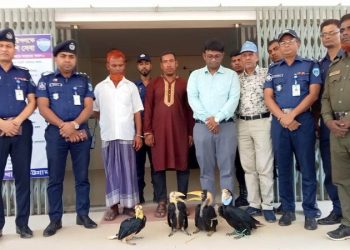 বাঁশখালীতে বিরল প্রজাতির রাজ ধনেশ উদ্ধার, আটক ২