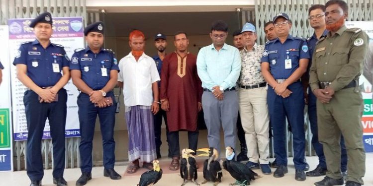 বাঁশখালীতে বিরল প্রজাতির রাজ ধনেশ উদ্ধার, আটক ২