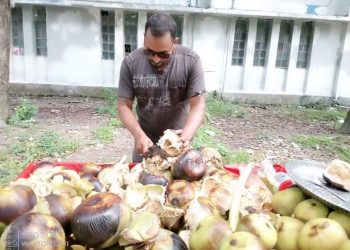 প্রচন্ড গরমে রংপুরে বেড়েছে তালশাঁস বিক্রির চাহিদা