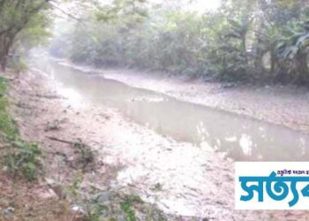 অনাবৃষ্টির কারণে খাল-বিল পানিশূন্য পটুয়াখালীতে মাছের উৎপাদন ব্যাহত