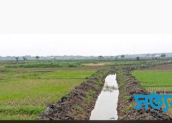 নড়াইলে খাল খননে প্রাণ ফিরেছে ৩০০ বিঘা পতিত জমির