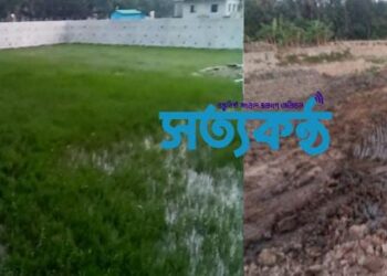 বাঁশখালীতে হাসপাতালের  নাম ভাগিয়ে জমজমাট মাটি ব্যবসায় প্রভাবশালী সিন্ডিকেট