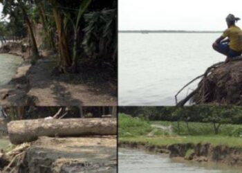 ভোলায় নদী ভাঙ্গন আতংকে দিন কাটছে তেঁতুলিয়া পাড়ের মানুষের