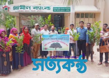 যশোরের বাঘারপাড়ায় গ্রামীণ ব্যাংকের বৃক্ষরোপন কর্মসূচি পালিত