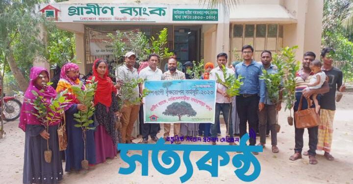 যশোরের বাঘারপাড়ায় গ্রামীণ ব্যাংকের বৃক্ষরোপন কর্মসূচি পালিত