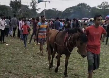 যশোরের বাঘারপাড়ার জামদিয়ায় ঘৌড় দৌড় প্রতিযোগিতা অনুষ্ঠিত