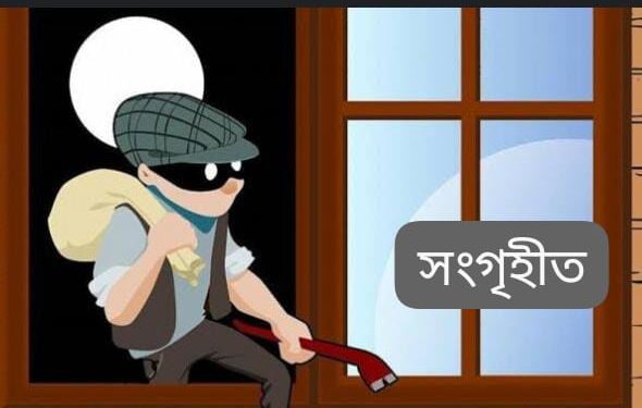 পটুয়াখালীর কলাপাড়ায় চুরির হিড়িক