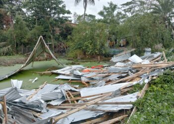 পটুয়াখালীতে ভ্রাম্যমাণ আদালতের অভিযানে ১টি অবৈধ স্থাপনা উচ্ছেদ