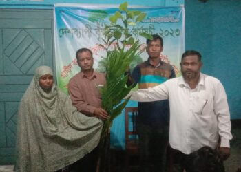 তেঁতুলিয়ায় গ্রামীণ ব্যাংকের বৃক্ষরোপন কর্মসূচি পালিত