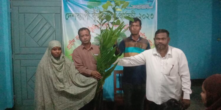 তেঁতুলিয়ায় গ্রামীণ ব্যাংকের বৃক্ষরোপন কর্মসূচি পালিত