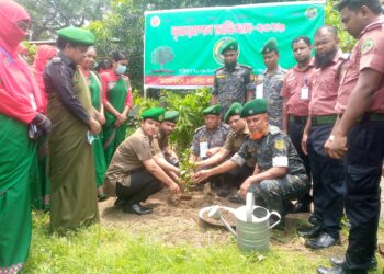নরসিংদীতে বাংলাদেশ আনসার ও গ্রাম প্রতিরক্ষা বাহিনীর বৃক্ষ রোপন অভিযান