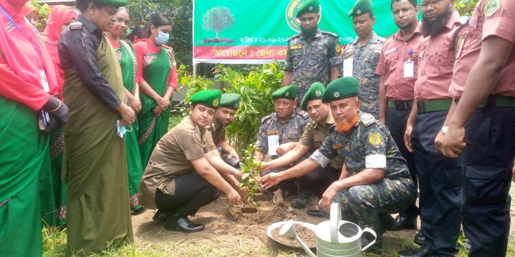 নরসিংদীতে বাংলাদেশ আনসার ও গ্রাম প্রতিরক্ষা বাহিনীর বৃক্ষ রোপন অভিযান