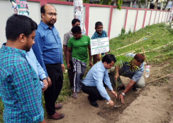 নড়াইলে বজ্রপাত নিরোধে সাড়ে ৪ হাজার গাছ রোপণ করার উদ্যোগ