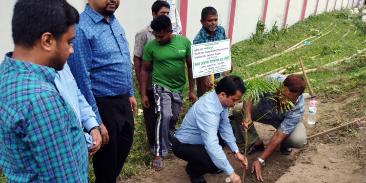 নড়াইলে বজ্রপাত নিরোধে সাড়ে ৪ হাজার গাছ রোপণ করার উদ্যোগ