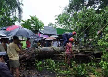 বাঁশখালীতে বটগাছ উপড়ে ২ ঘন্টা পর যান চলাচল স্বাভাবিক