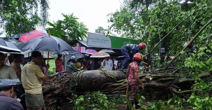 বাঁশখালীতে বটগাছ উপড়ে ২ ঘন্টা পর যান চলাচল স্বাভাবিক