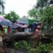 বাঁশখালীতে বটগাছ উপড়ে ২ ঘন্টা পর যান চলাচল স্বাভাবিক