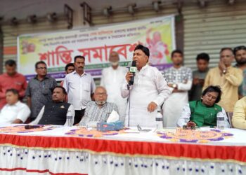 বাগাতিপাড়ায় আওয়ামী লীগের শান্তি সমাবেশ পালিত