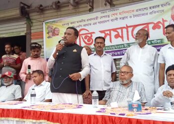 বাগাতিপাড়ায় আওয়ামী লীগের শান্তি সমাবেশ পালিত