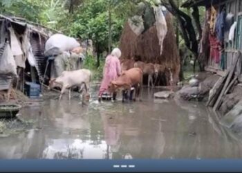 ভোলায় মেঘনার পানি বিপৎসীমার ওপরে, দুর্ভোগে ১৫ গ্রামবাসী