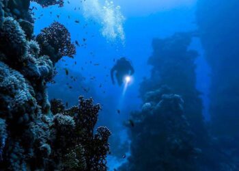 পৃথিবীর গভীরতম খাত মারিয়ানা ট্রেঞ্চ