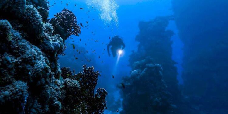 পৃথিবীর গভীরতম খাত মারিয়ানা ট্রেঞ্চ