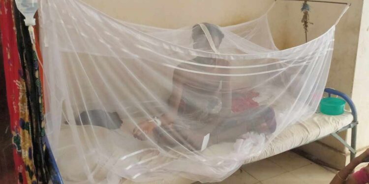 পটুয়াখালীতে শতাধিক ডেঙ্গুতে আক্রান্ত