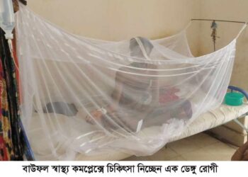 পটুয়াখালীতে শতাধিক ডেঙ্গুতে আক্রান্ত