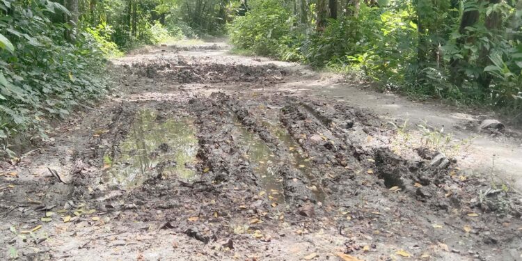 অবহেলিত জরাজীর্ণ রাস্তায় পটুয়াখালীতে জন-দূর্ভোগ সীমাহীন
