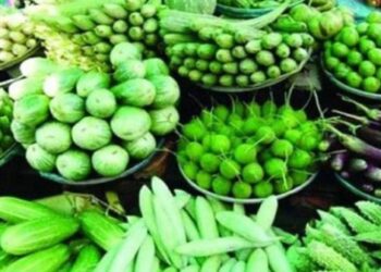 ভোলার বাজারে কাঁচামরিচ বিক্রি হচ্ছে ৬০০ টাকায়, ধনিয়া পাতা ৪০০