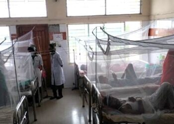 ভোলায় ভয়াবহ আকারে ডেঙ্গুর বিস্তার, হাসপাতালে রোগীর চাপ