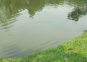 রংপুরের গঙ্গাচড়ায় নানাবাড়িতে বেড়াতে এসে পুকুরে গোসল করতে নেমে পানিতে ডুবে খালাতো ভাই-বোনের মৃত্যু