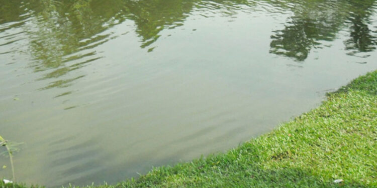 রংপুরের গঙ্গাচড়ায় নানাবাড়িতে বেড়াতে এসে পুকুরে গোসল করতে নেমে পানিতে ডুবে খালাতো ভাই-বোনের মৃত্যু