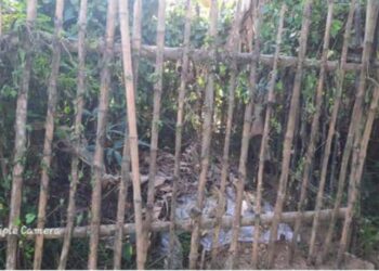 দুর্গাপুরে দাফনের এক বছর পর কবর থেকে স্কুল শিক্ষকের মৃতদেহ উধাও