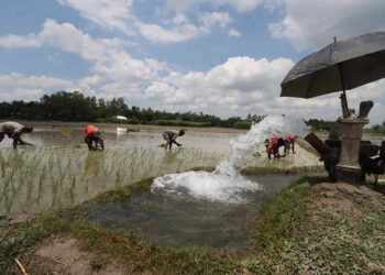 রংপুরে সেচ দিয়ে আমন রোপণের চেষ্টা