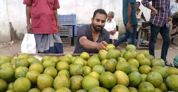 মৌসুমের শুরুতেই রংপুরের বাজার সয়লাব হয়ে গেছে হাঁড়িভাঙ্গা আম